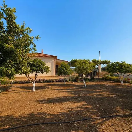 Vasiliki's A Dhimitra (Elis)